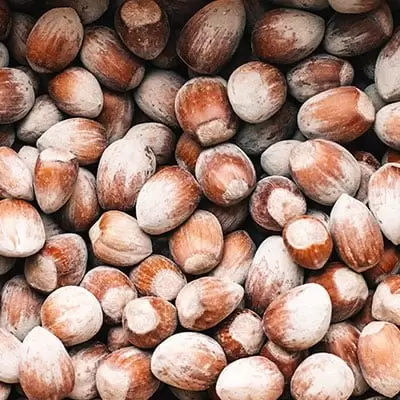 Nuts and Dried Food